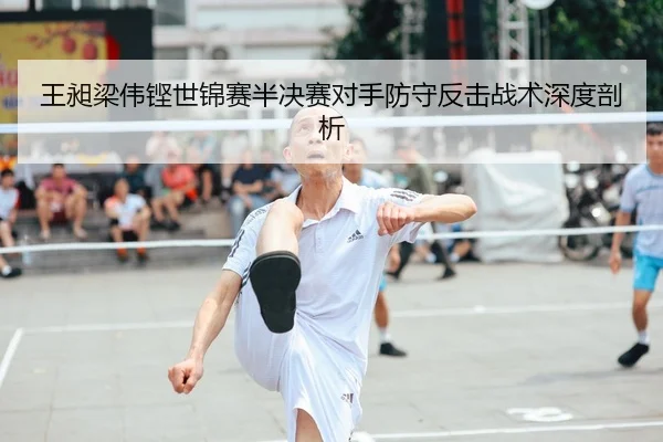 wang-chang-liang-wei-keng-shi-jin-sai-ban-jue-sai-dui-shou-fang-shou-fan-ji-zhan-shu-shen-du-pou-xi-2-432.jpg