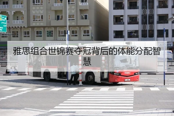 ya-si-zu-he-shi-jin-sai-duo-guan-bei-hou-de-ti-neng-fen-pei-zhi-hui-3-241.jpg