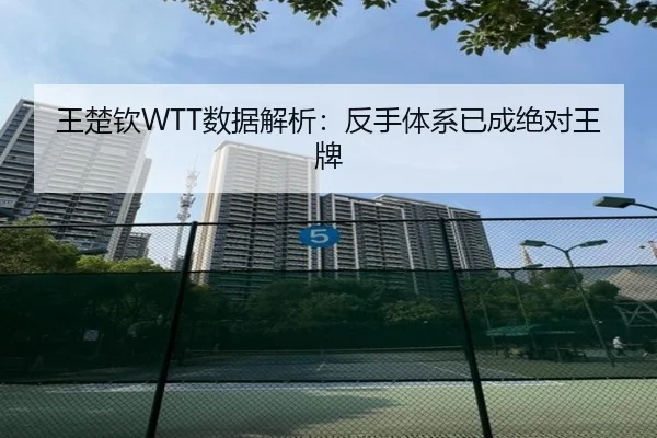 王楚钦WTT数据解析：反手体系已成绝对王牌