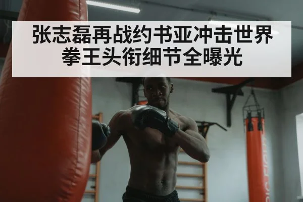 张志磊再战约书亚冲击世界拳王头衔细节全曝光