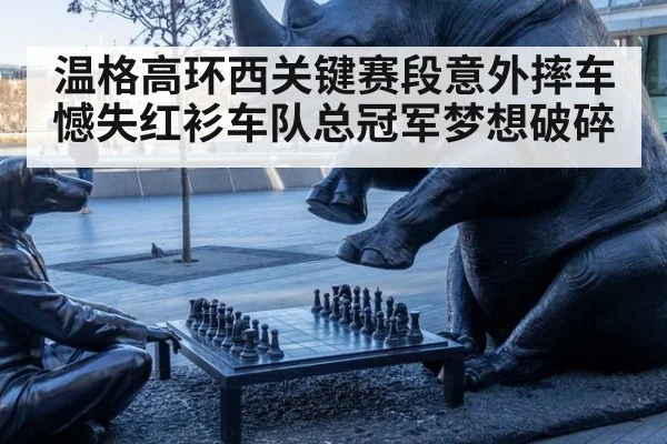 温格高环西关键赛段意外摔车憾失红衫车队总冠军梦想破碎